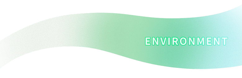 ENVIRONMENT
